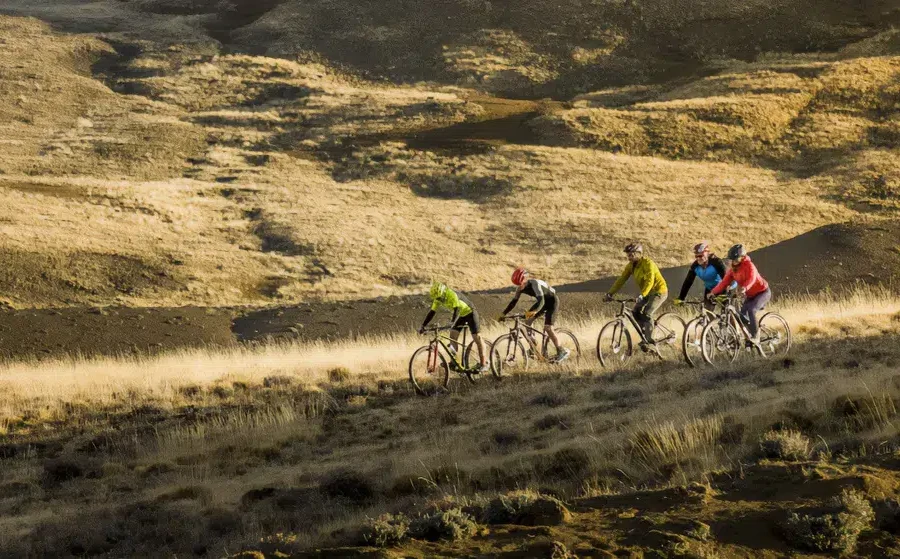 excursion safari bike experience