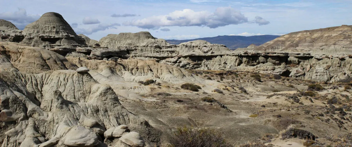 Petrified tree trunks 70 million years old in the La Leona Petrified Forest, Patagonia