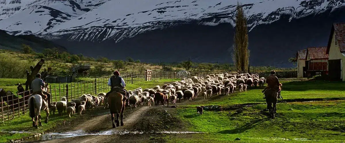 Patagonian lamb roasted on a spit at Estancia Nibepo Aike with views of the steppe and mountains